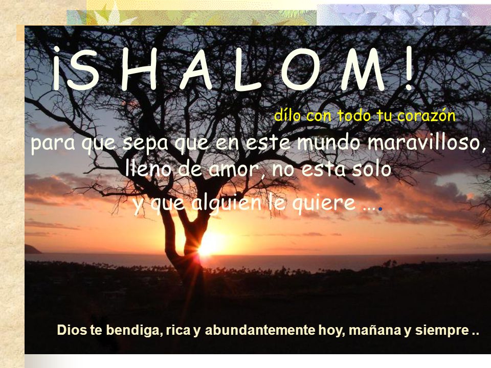 ¡S H A L O M ! dílo con todo tu corazón.