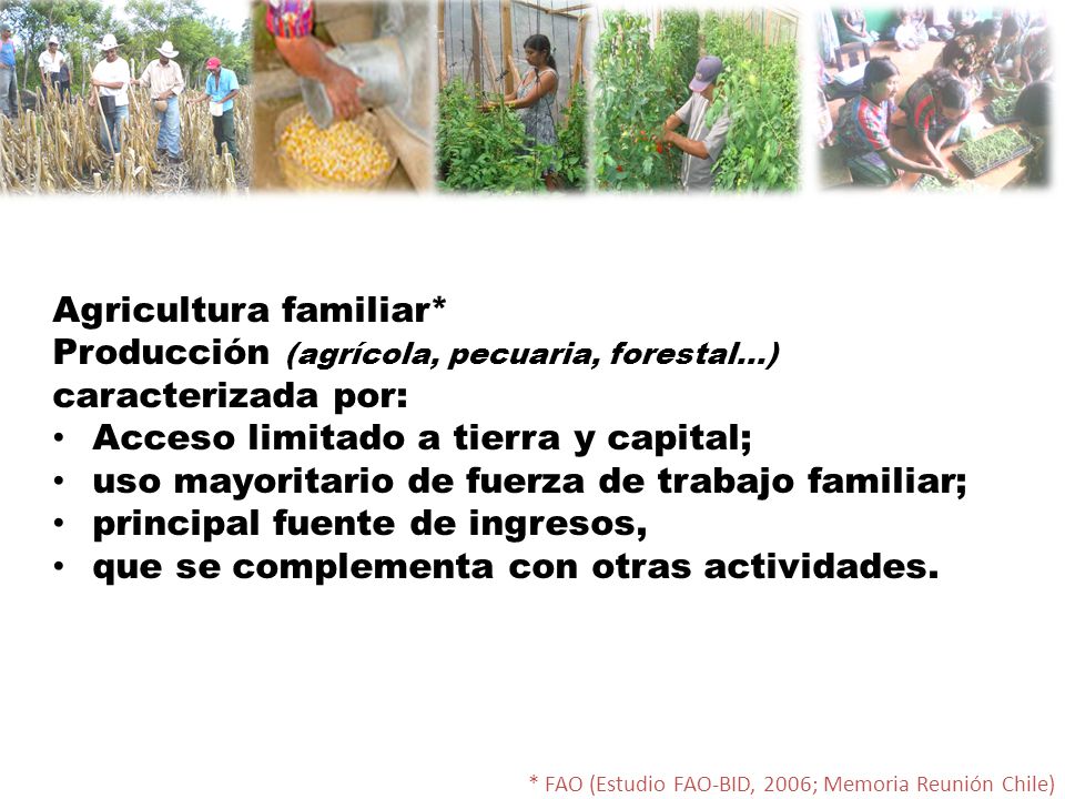 Agricultura familiar*