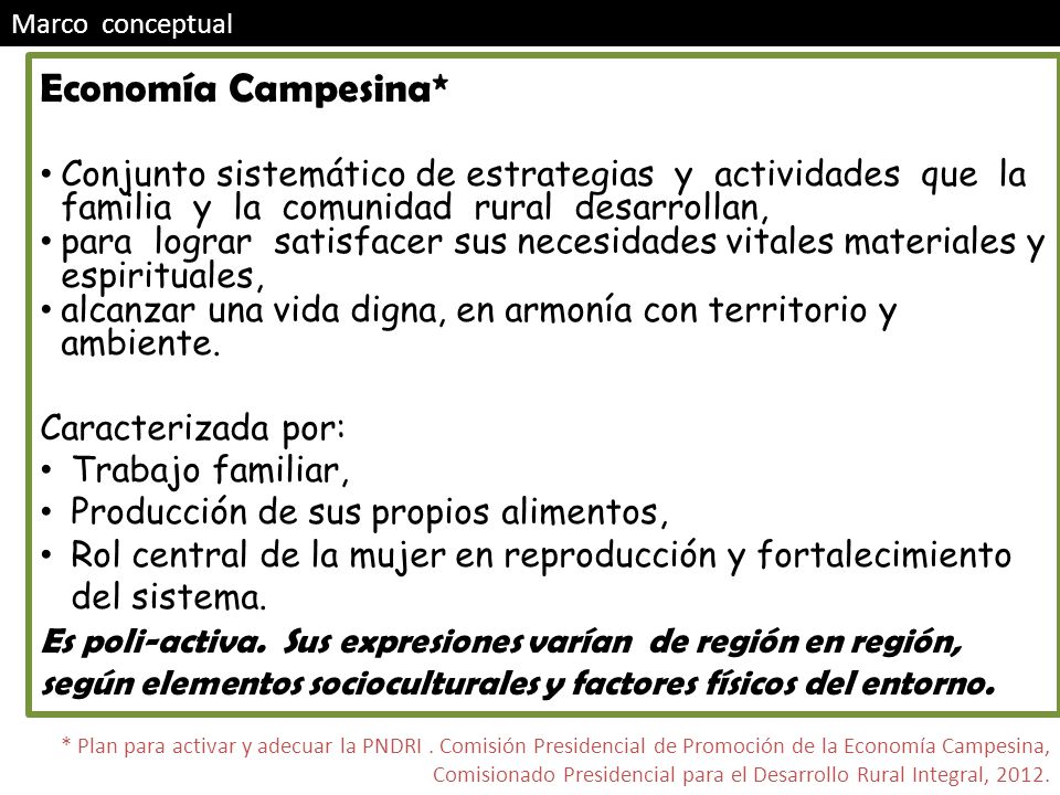 Marco conceptual Economía Campesina* Conjunto sistemático de estrategias y actividades que la familia y la comunidad rural desarrollan,