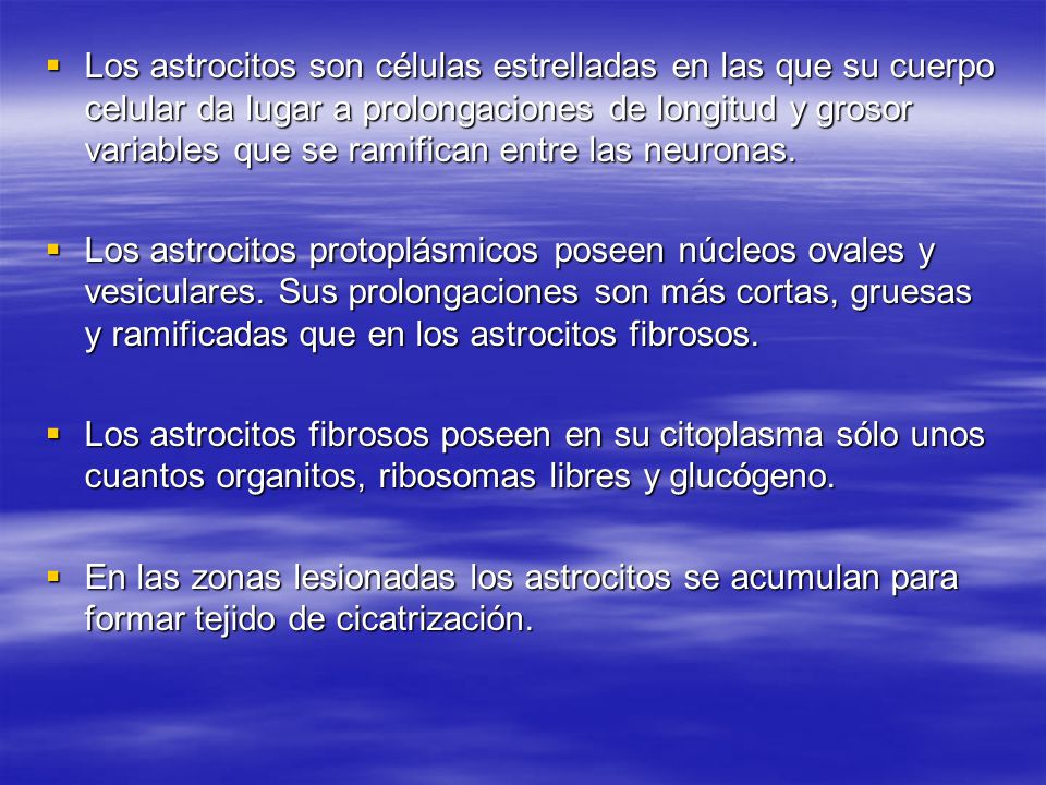Los astrocitos son células estrelladas en las que su cuerpo celular da lugar a prolongaciones de longitud y grosor variables que se ramifican entre las neuronas.