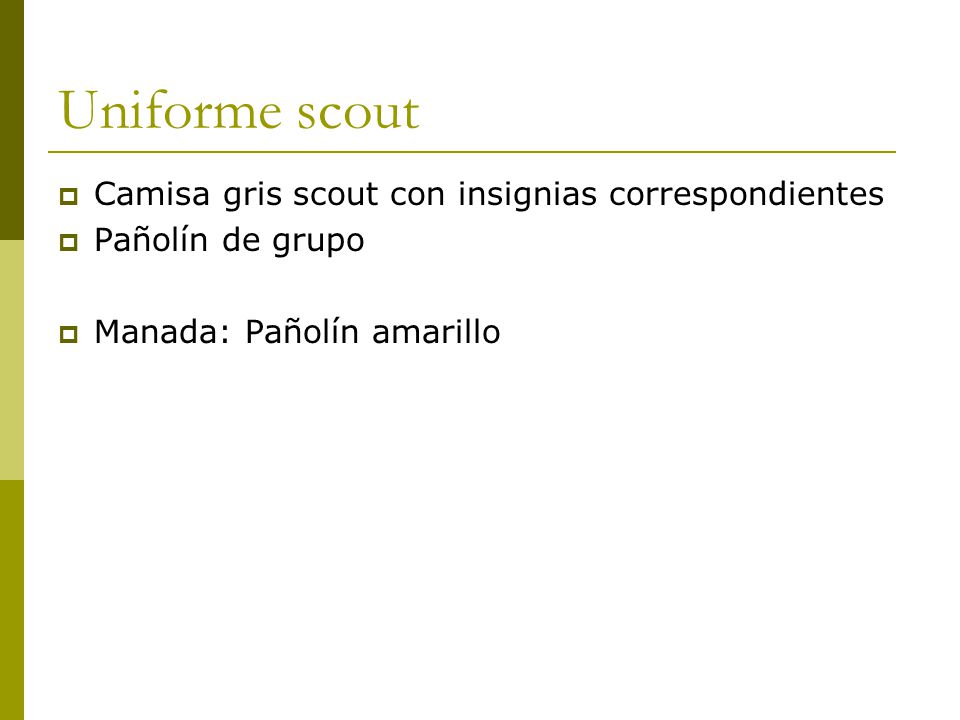 Uniforme scout Camisa gris scout con insignias correspondientes