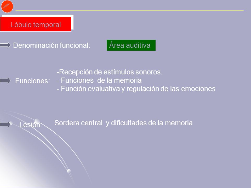  Lóbulo temporal. Denominación funcional: Área auditiva. Recepción de estímulos sonoros. Funciones de la memoria.