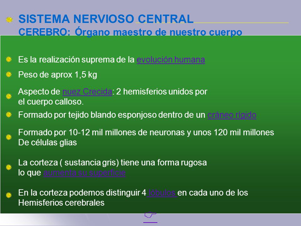  SISTEMA NERVIOSO CENTRAL CEREBRO: Órgano maestro de nuestro cuerpo