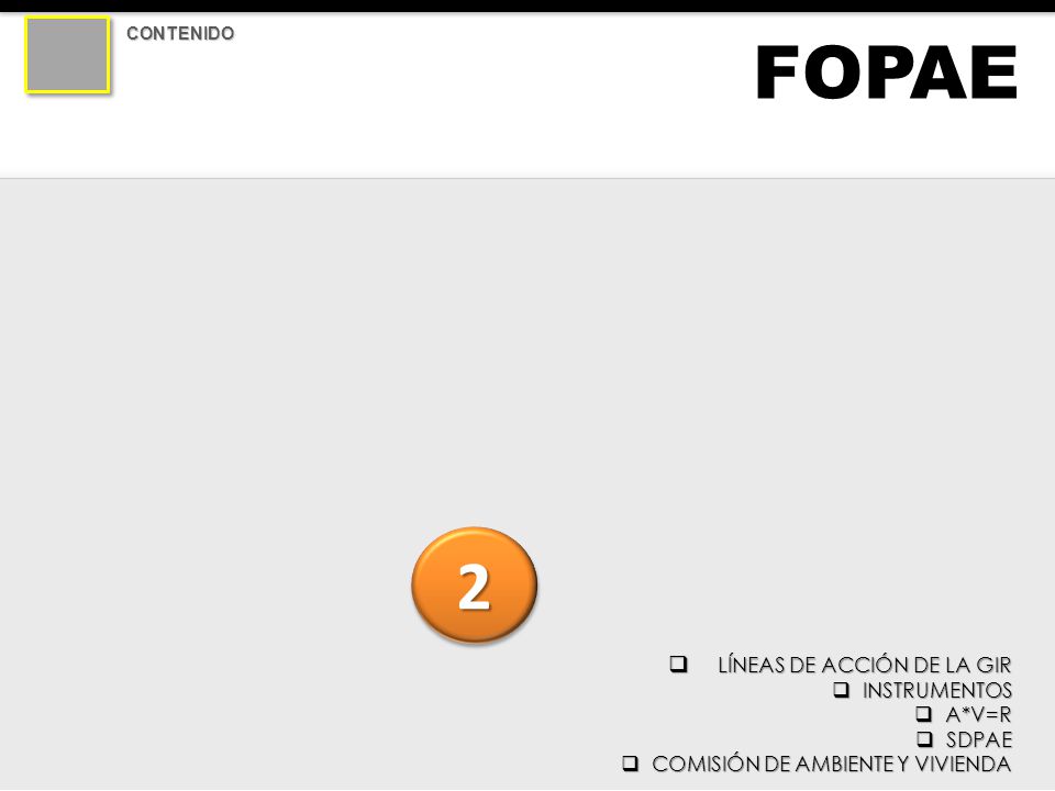 FOPAE 2 LÍNEAS DE ACCIÓN DE LA GIR INSTRUMENTOS A*V=R SDPAE