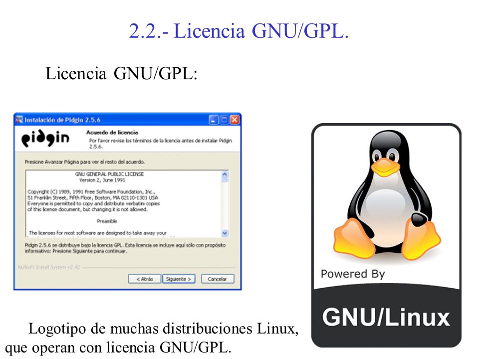 2.2.- Licencia GNU/GPL. Licencia GNU/GPL: