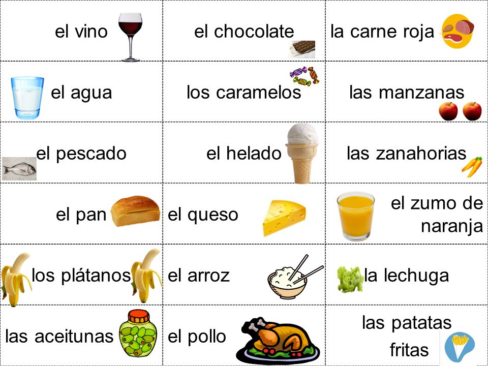el vino el chocolate. la carne roja. el agua. los caramelos. las manzanas. el pescado. el helado.