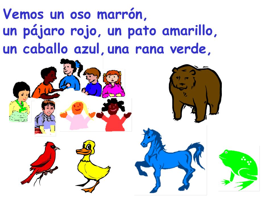 Vemos un oso marrón, un pájaro rojo, un pato amarillo, un caballo azul, una rana verde,