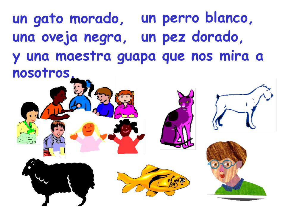 un gato morado, un perro blanco, una oveja negra, un pez dorado, y una maestra guapa que nos mira a nosotros.