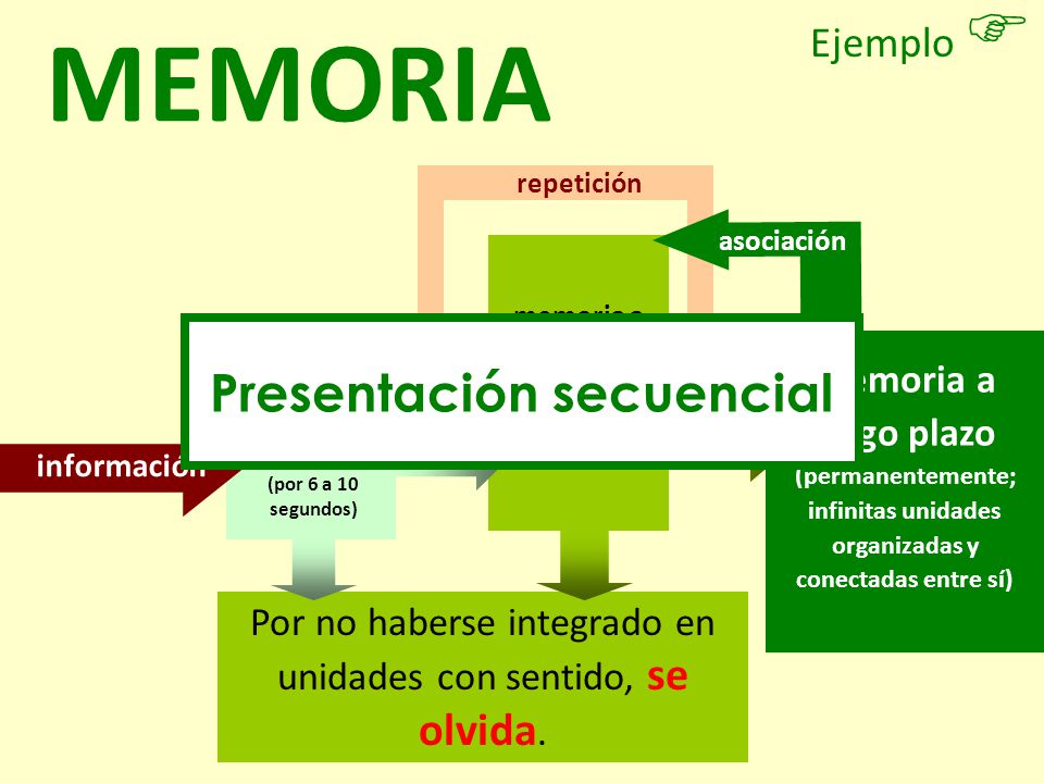 (por 1 a 2 horas; 7 elementos independientes)