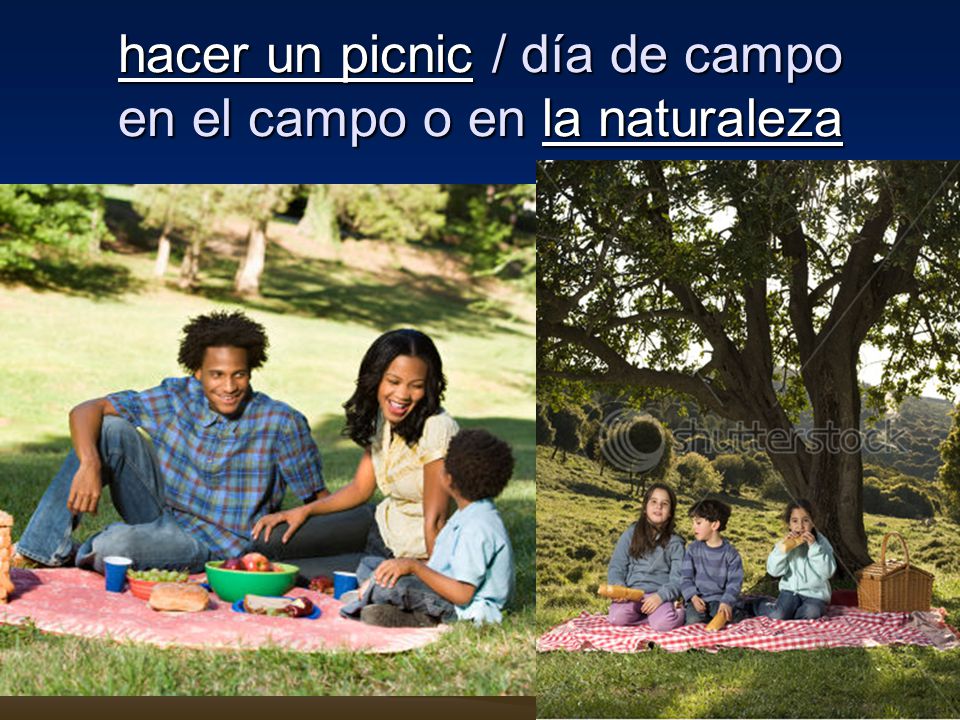 hacer un picnic / día de campo en el campo o en la naturaleza