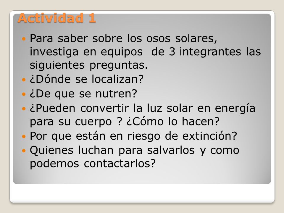 Actividad 1 Para saber sobre los osos solares, investiga en equipos de 3 integrantes las siguientes preguntas.