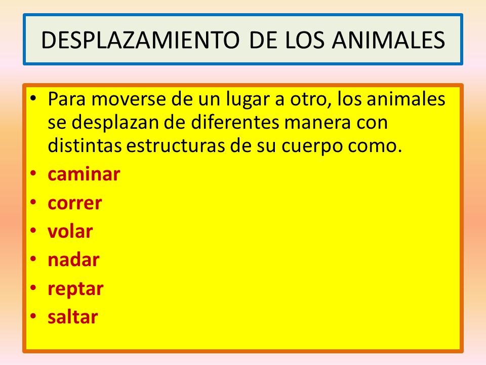 DESPLAZAMIENTO DE LOS ANIMALES