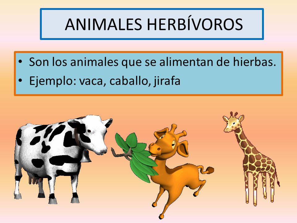 ANIMALES HERBÍVOROS Son los animales que se alimentan de hierbas.