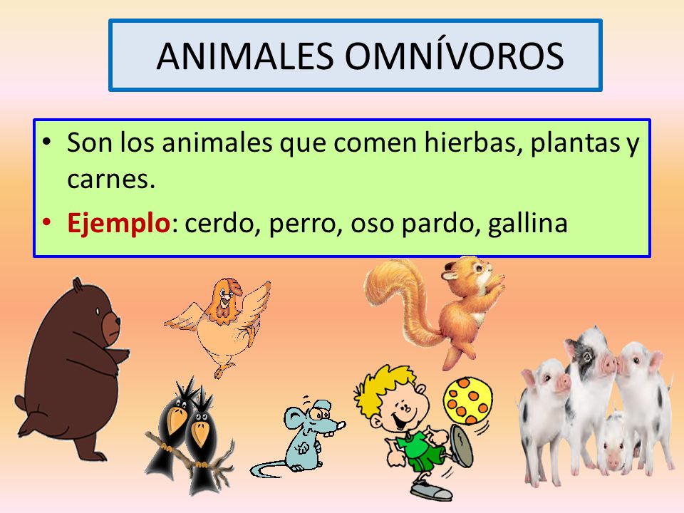 ANIMALES OMNÍVOROS Son los animales que comen hierbas, plantas y carnes.
