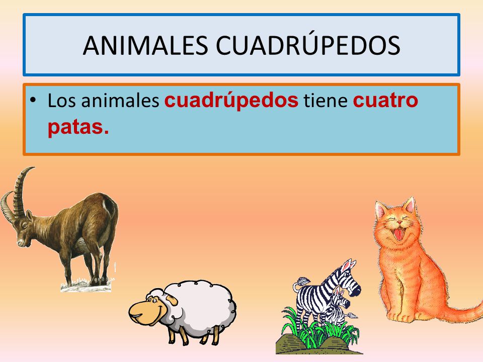ANIMALES CUADRÚPEDOS Los animales cuadrúpedos tiene cuatro patas.