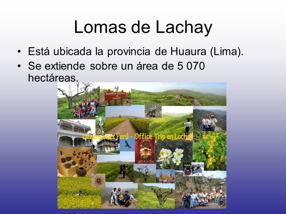 Lomas de Lachay Está ubicada la provincia de Huaura (Lima).