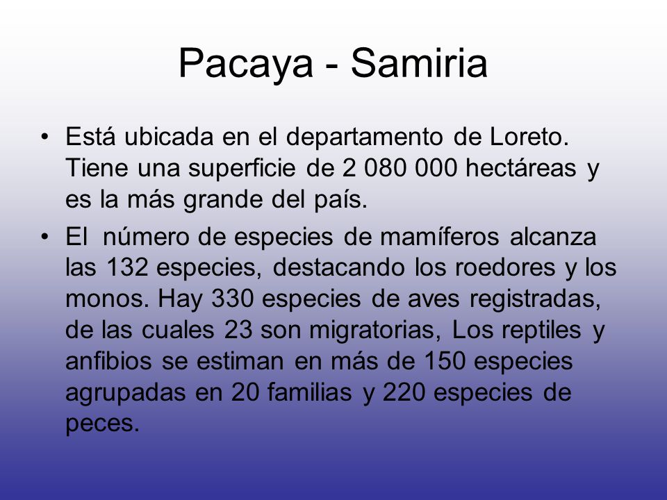 Pacaya - Samiria Está ubicada en el departamento de Loreto. Tiene una superficie de hectáreas y es la más grande del país.