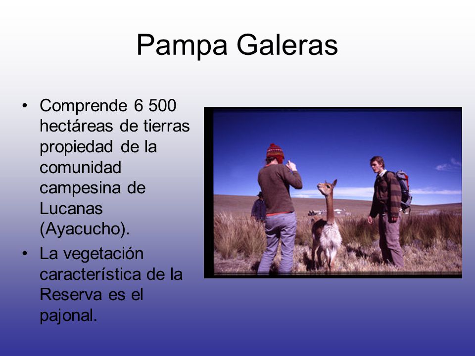 Pampa Galeras Comprende hectáreas de tierras propiedad de la comunidad campesina de Lucanas (Ayacucho).