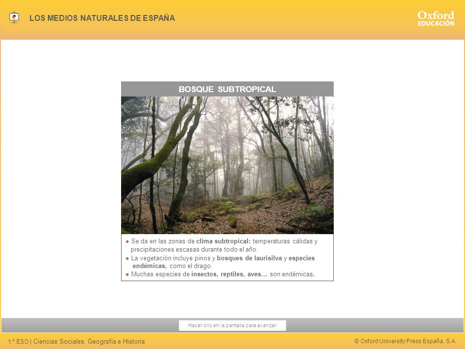 BOSQUE SUBTROPICAL ● Se da en las zonas de clima subtropical: temperaturas cálidas y. precipitaciones escasas durante todo el año.