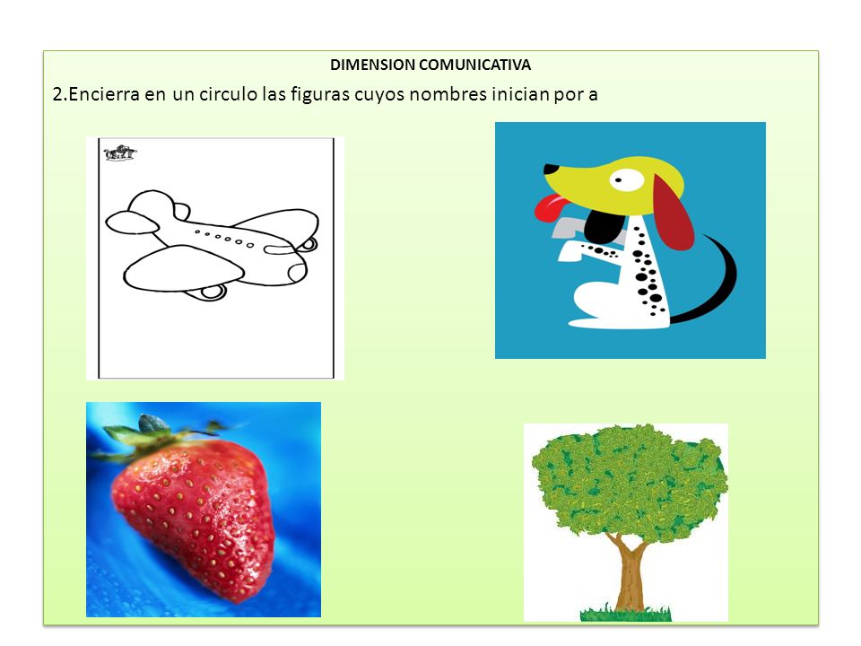 DIMENSION COMUNICATIVA