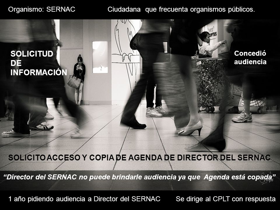 SOLICITO ACCESO Y COPIA DE AGENDA DE DIRECTOR DEL SERNAC