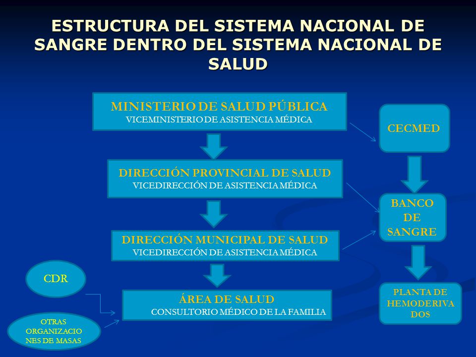 ESTRUCTURA DEL SISTEMA NACIONAL DE SANGRE DENTRO DEL SISTEMA NACIONAL DE SALUD
