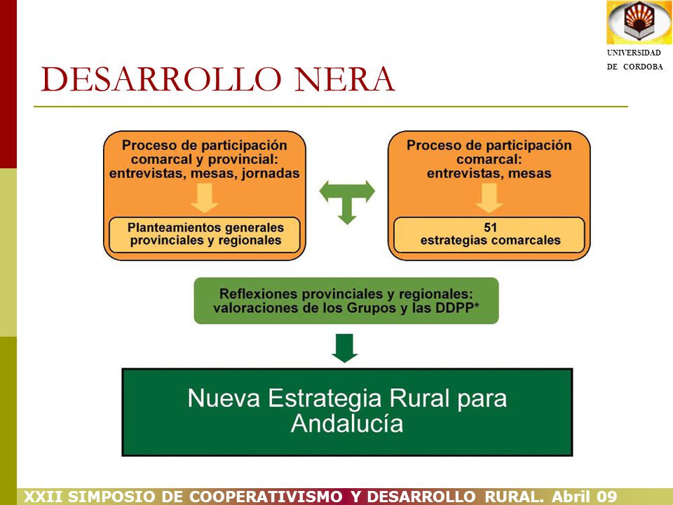 DESARROLLO NERA