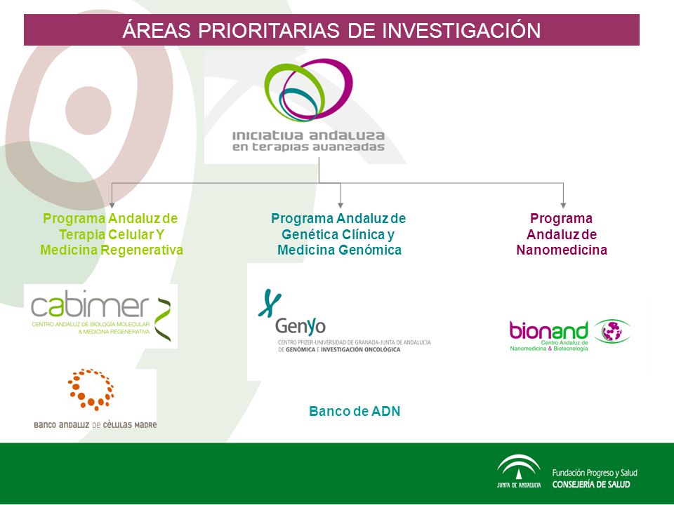 Medicina Regenerativa