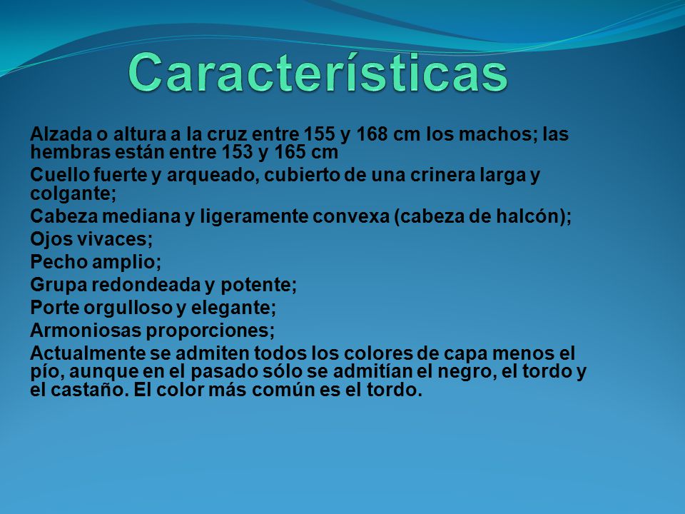 Características Alzada o altura a la cruz entre 155 y 168 cm los machos; las hembras están entre 153 y 165 cm.