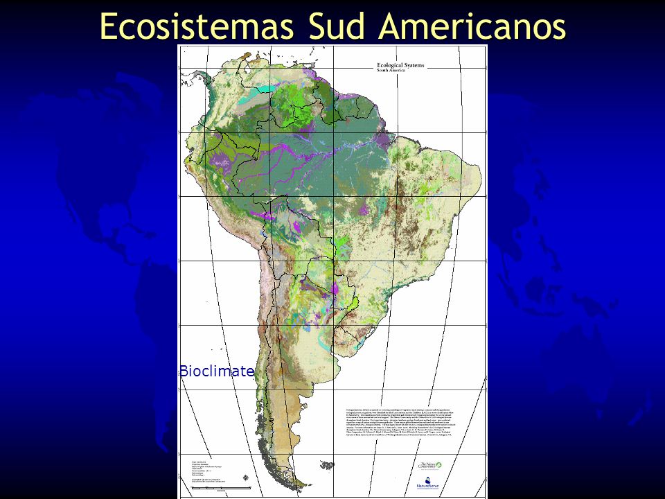 Ecosistemas Sud Americanos