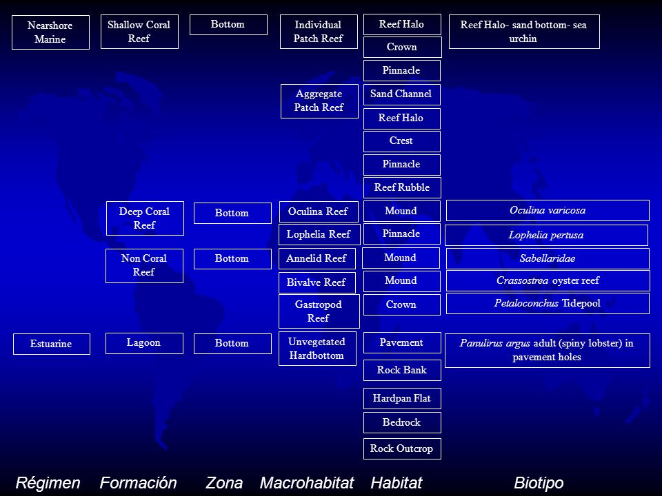 Régimen Formación Zona Macrohabitat Habitat Biotipo Nearshore Marine