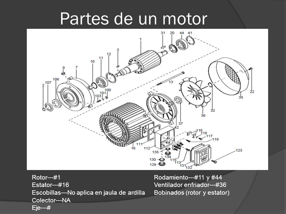 Partes de un motor Rotor---#1 Rodamiento---#11 y #44 Estator---#16