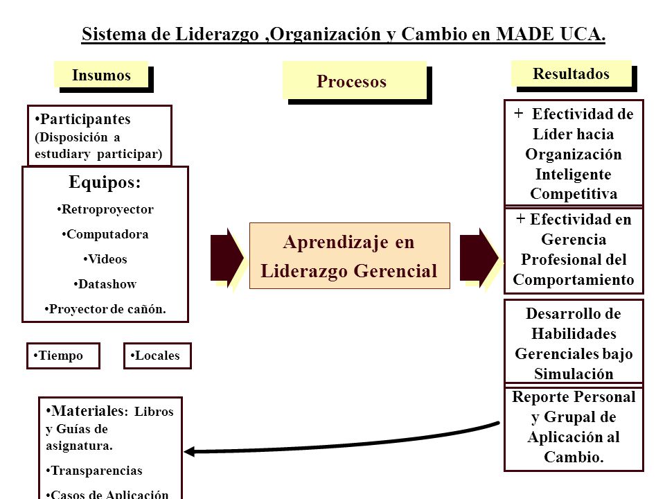 Sistema de Liderazgo ,Organización y Cambio en MADE UCA.