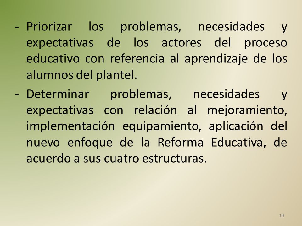 Priorizar los problemas, necesidades y expectativas de los actores del proceso educativo con referencia al aprendizaje de los alumnos del plantel.