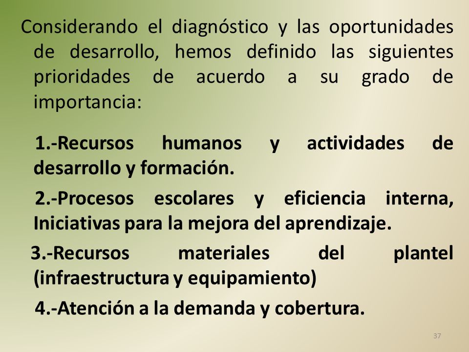 Considerando el diagnóstico y las oportunidades de desarrollo, hemos definido las siguientes prioridades de acuerdo a su grado de importancia: 1.-Recursos humanos y actividades de desarrollo y formación.