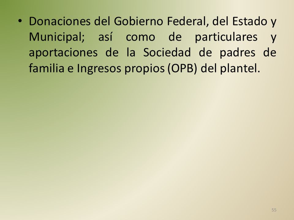 Donaciones del Gobierno Federal, del Estado y Municipal; así como de particulares y aportaciones de la Sociedad de padres de familia e Ingresos propios (OPB) del plantel.