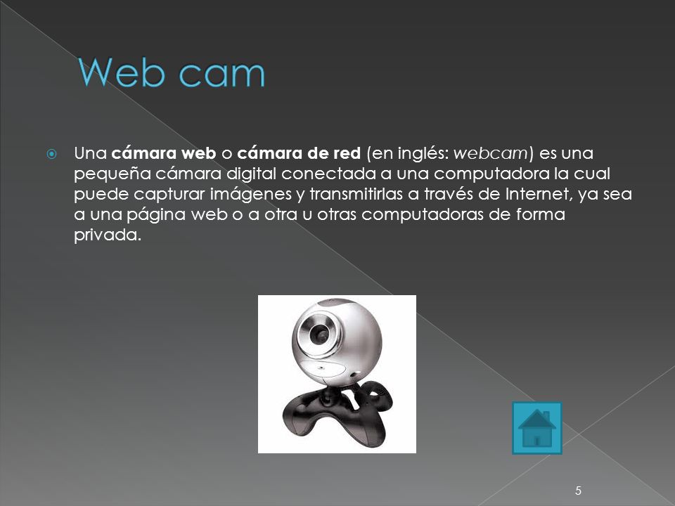 Web cam
