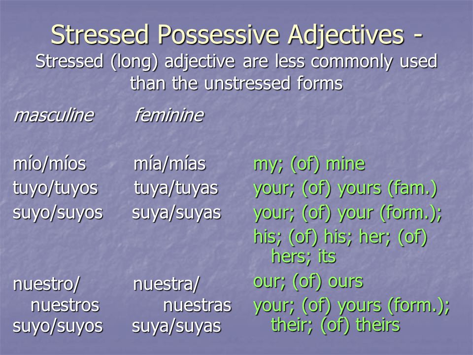 Stressed Possessive Adjectives - Stressed (long) adjective are less commonly used than the unstressed forms