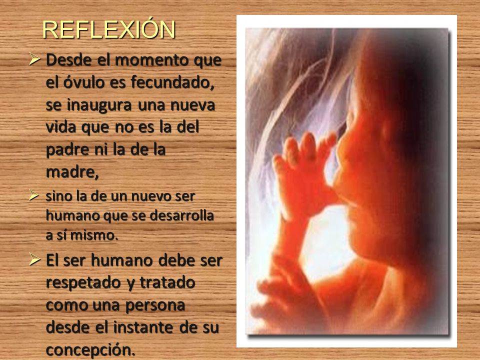 REFLEXIÓN Desde el momento que el óvulo es fecundado, se inaugura una nueva vida que no es la del padre ni la de la madre,