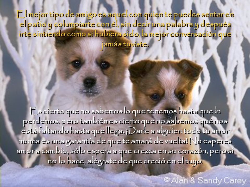 El mejor tipo de amigo es aquel con quien te puedes sentar en el patio y columpiarte con él, sin decir una palabra y después irte sintiendo como si hubiera sido, la mejor conversación que jamás tuviste.