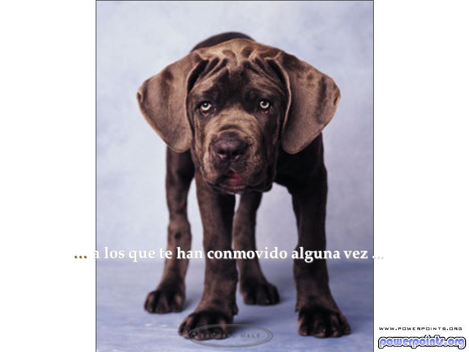 … a los que te han conmovido alguna vez ...