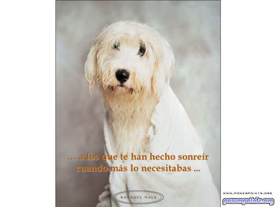 … a los que te han hecho sonreír cuando más lo necesitabas ...
