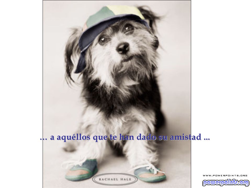… a aquéllos que te han dado su amistad ...