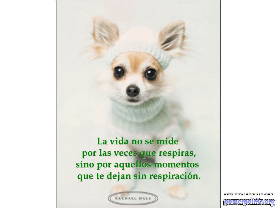 por las veces que respiras, sino por aquellos momentos