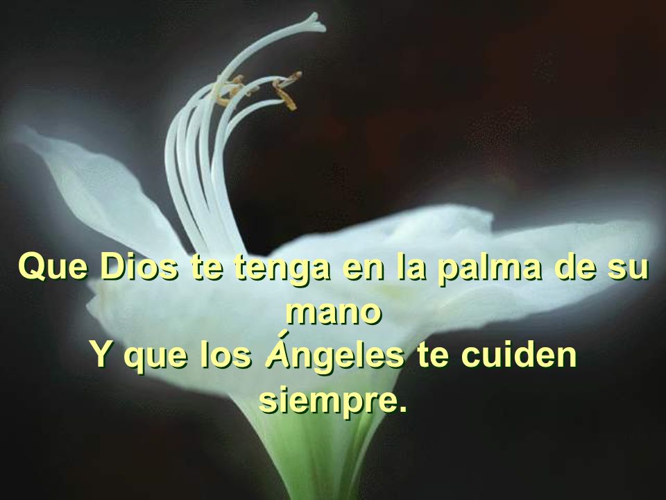 Que Dios te tenga en la palma de su mano