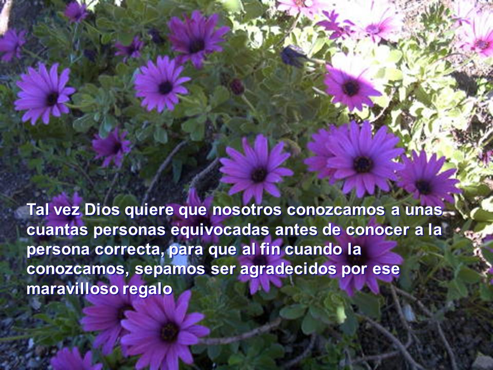 Tal vez Dios quiere que nosotros conozcamos a unas cuantas personas equivocadas antes de conocer a la persona correcta, para que al fin cuando la conozcamos, sepamos ser agradecidos por ese maravilloso regalo
