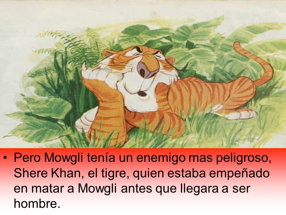 Pero Mowgli tenía un enemigo mas peligroso, Shere Khan, el tigre, quien estaba empeñado en matar a Mowgli antes que llegara a ser hombre.