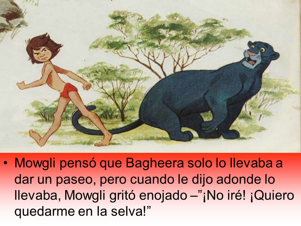 Mowgli pensó que Bagheera solo lo llevaba a dar un paseo, pero cuando le dijo adonde lo llevaba, Mowgli gritó enojado – ¡No iré.