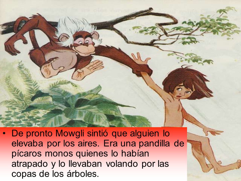 De pronto Mowgli sintió que alguien lo elevaba por los aires
