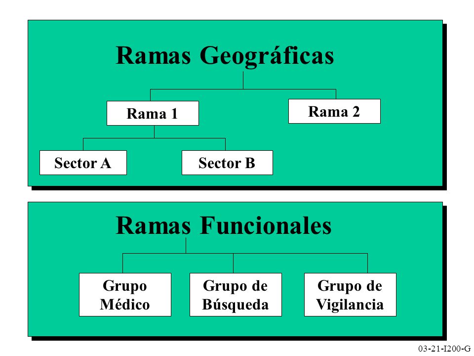 Ramas Geográficas Ramas Funcionales Rama 1 Rama 2 Sector A Sector B